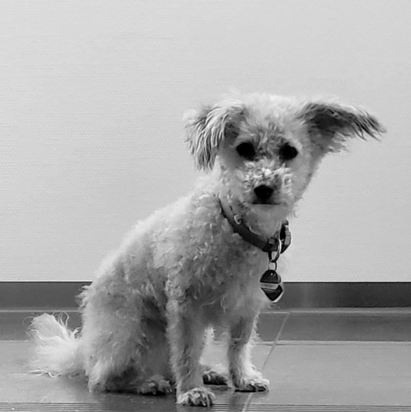 BEA