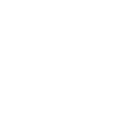 Service Icon weiss